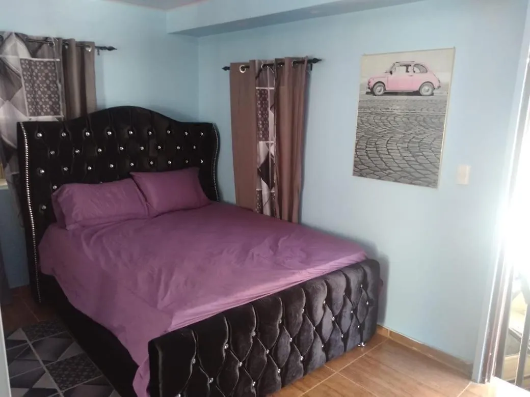 Apartamento Paulino Santiago De Los Caballeros República Dominicana